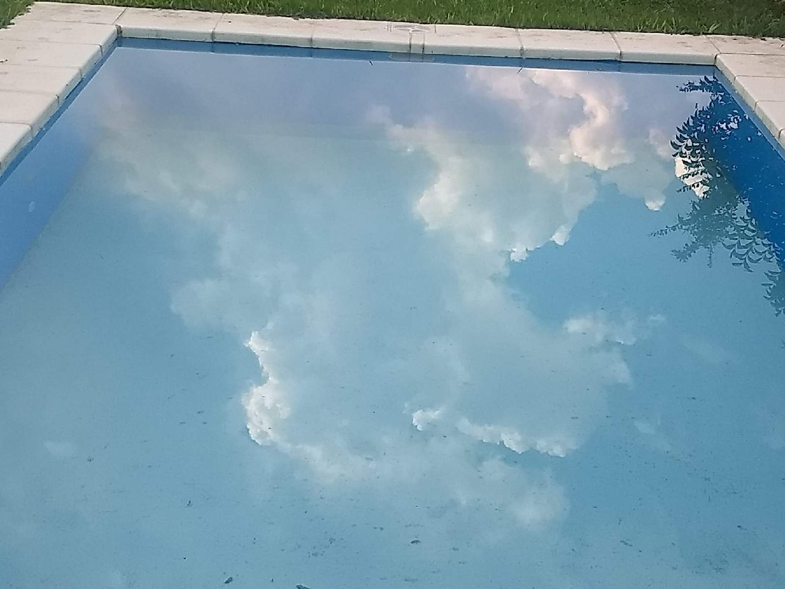 ¿De cuánto estamos hablando Willy?